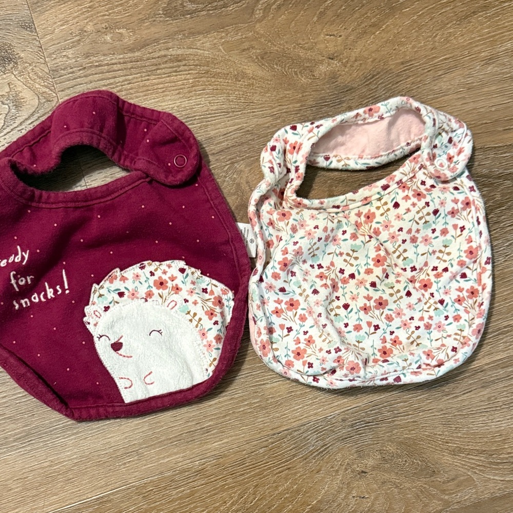 Carter's Maroon and Floral Baby Bib Set